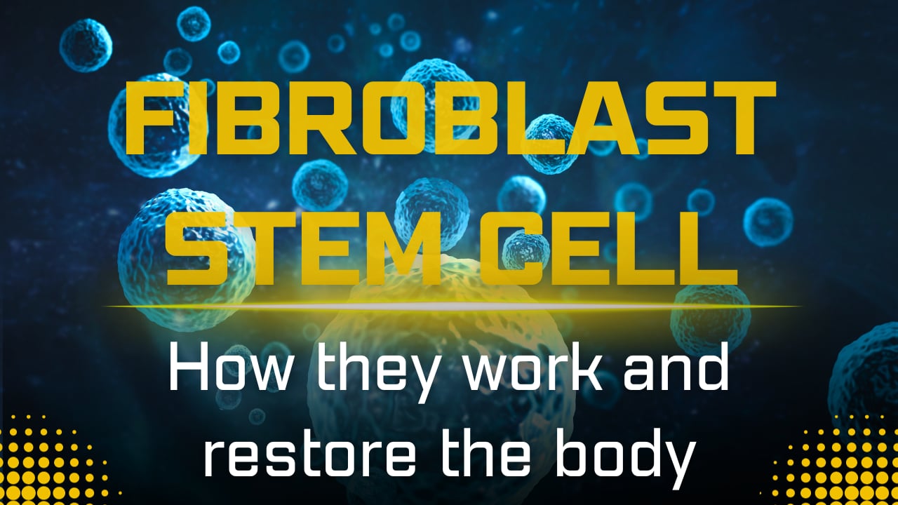 fibroblast stem cell how they work good