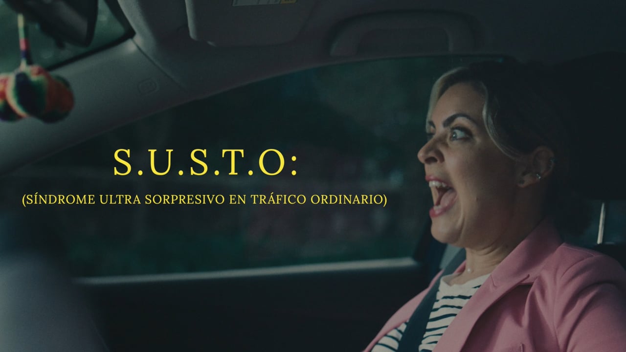 Susto