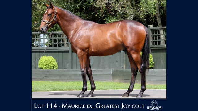 Lot 114