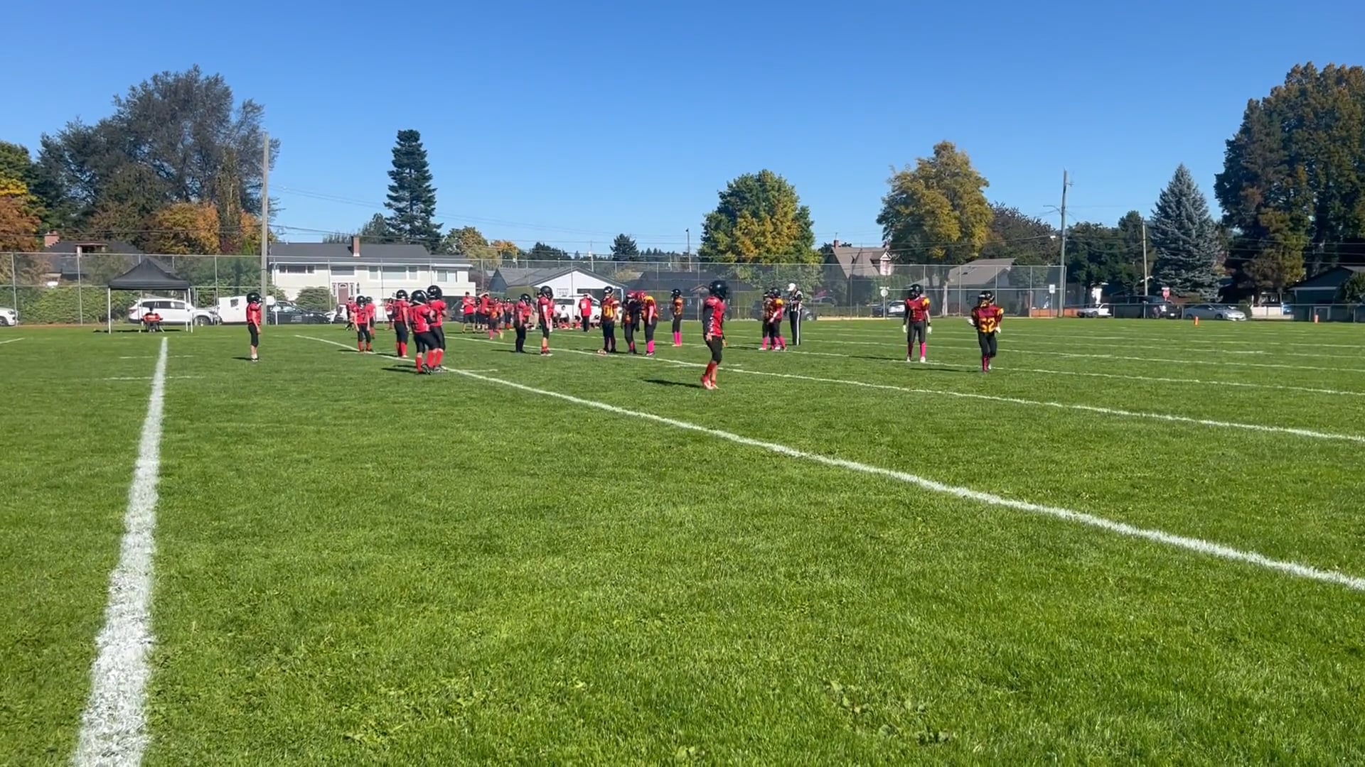 Watch gus steeves on PurpleShift