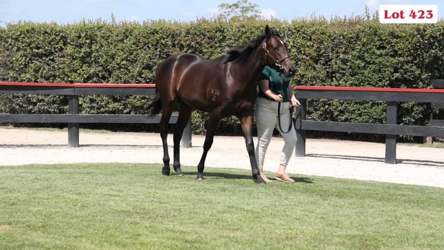 Karaka 2024 Book 1 New Zealand Bloodstock Thoroughbred Auction   1783201179 Fc0978fd0e1ac55ad14200fbc34821f3e98144b70d29ac4001f6b2336717eeef D 640x360