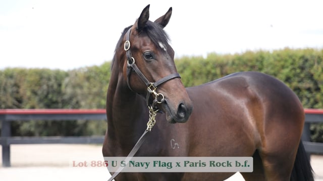 Lot 886