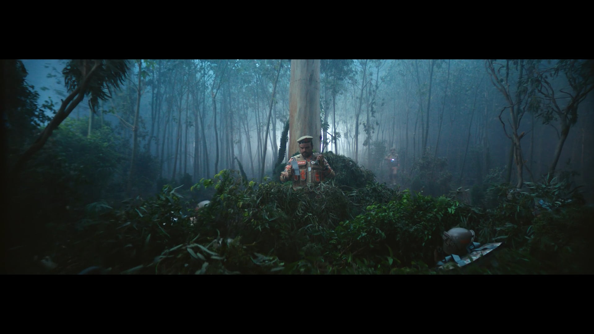 Talabat - Forest 2024