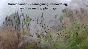 Harald Sauer re-imagines, re-creates and re-novates planting