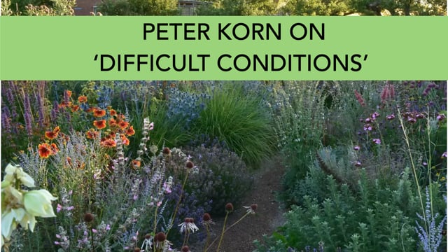 Peter Korn - Positive thinking about 'difficult' conditions