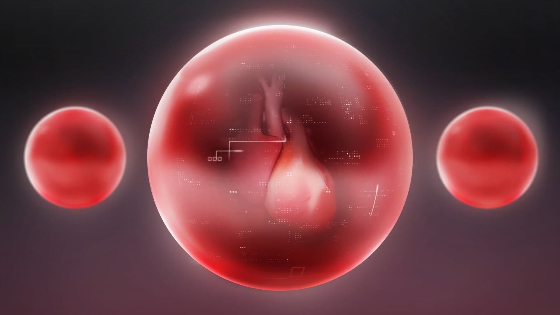 TransMedics Brand Story