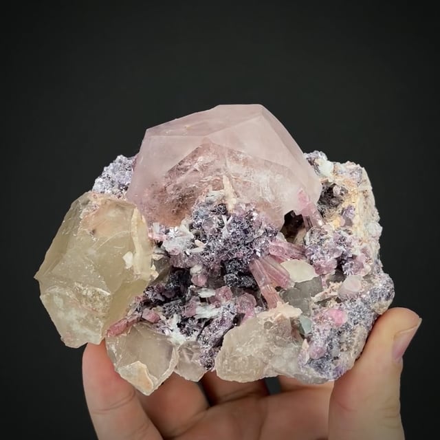 Morganite, Quartz, Tourmaline, Lepidolite on Albite