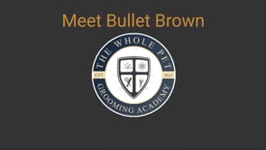 Meet Bullet Brown