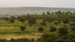 Video Cover Image