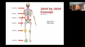  Joint By Joint Theory For Chronic Musculoskeletal Pain