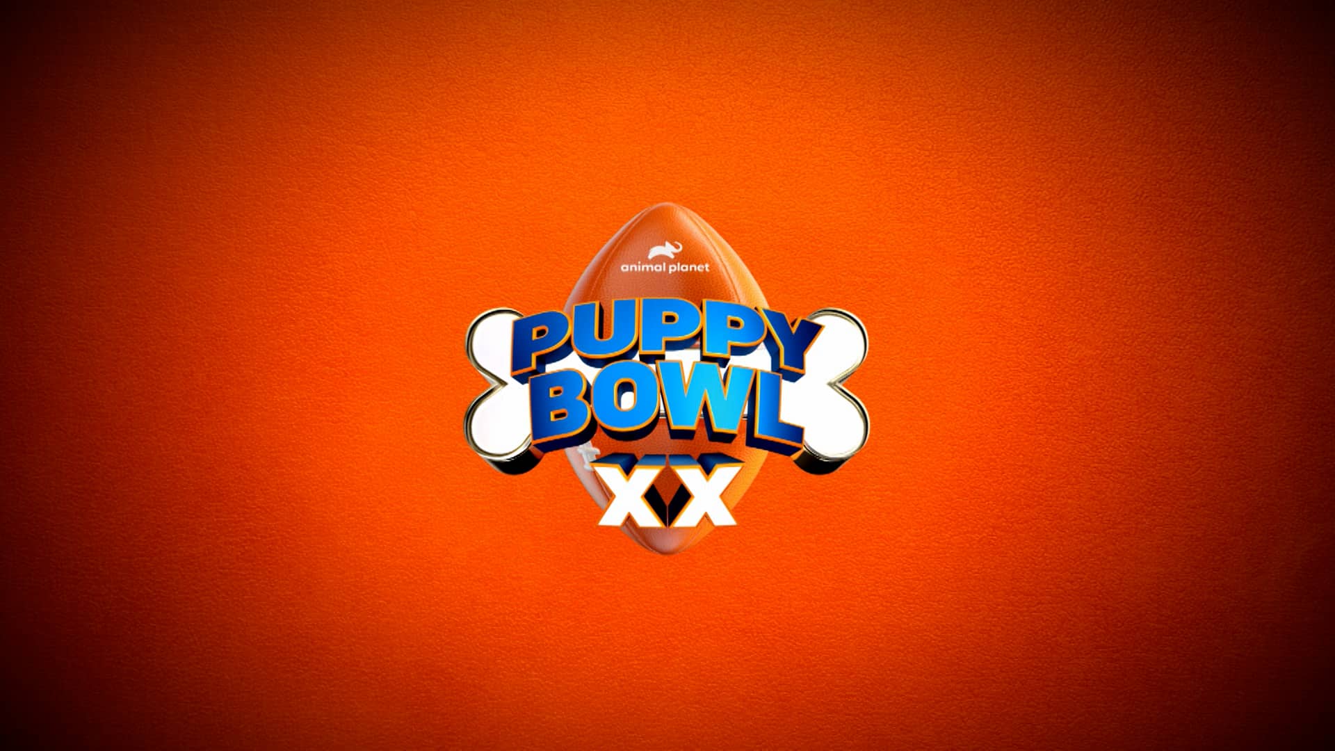 Valpak + Puppy Bowl XX on Vimeo
