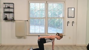 Total Body Weights Part 2