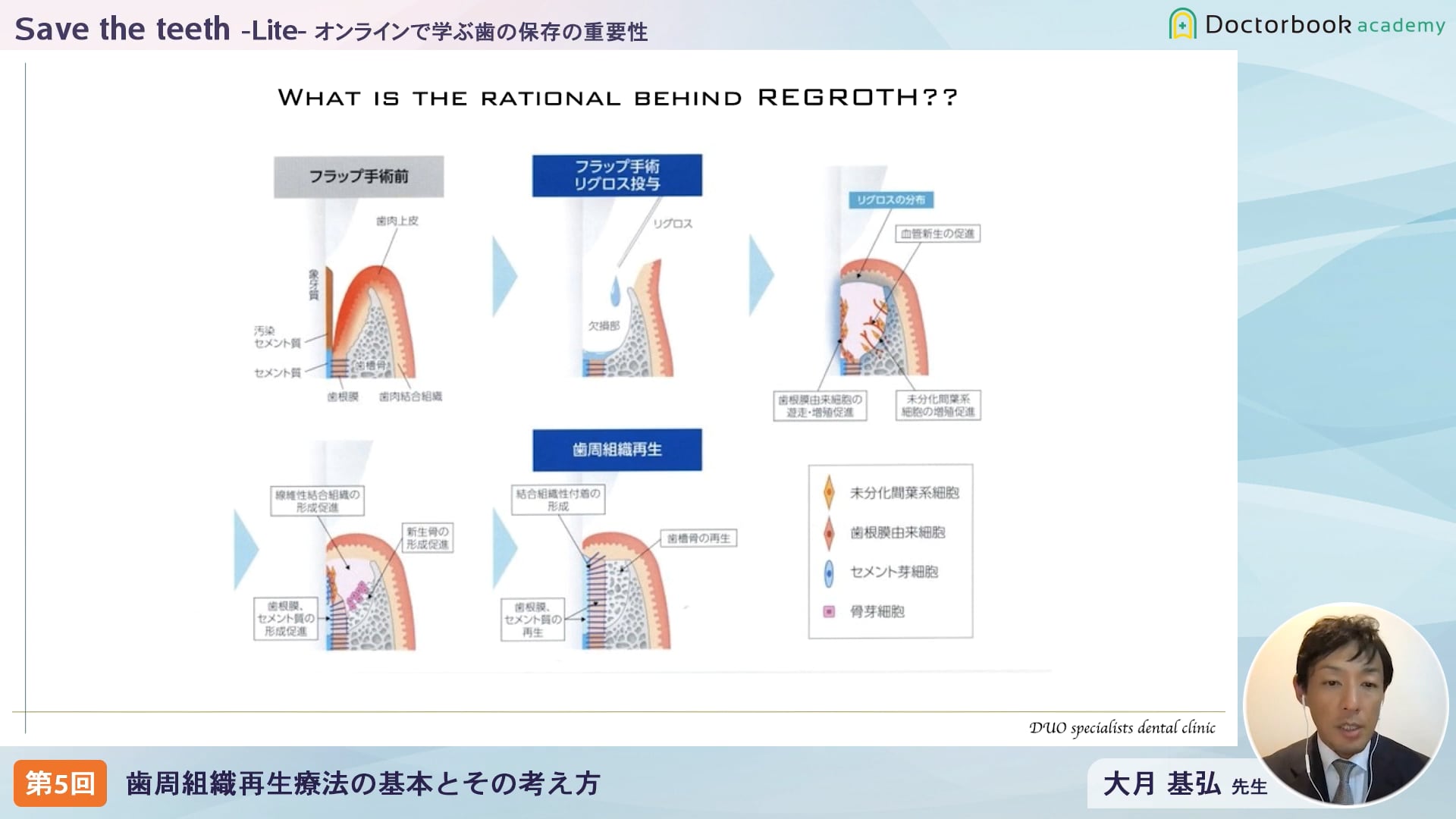 臨床知見録_エムドゲイン_リグロスの作用機序