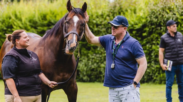 Karaka 2024 | Mapperley Stud