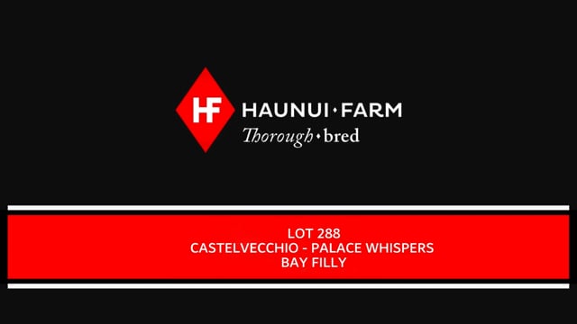 Lot 288