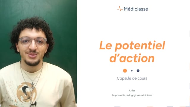 Focus - Le potentiel d'action