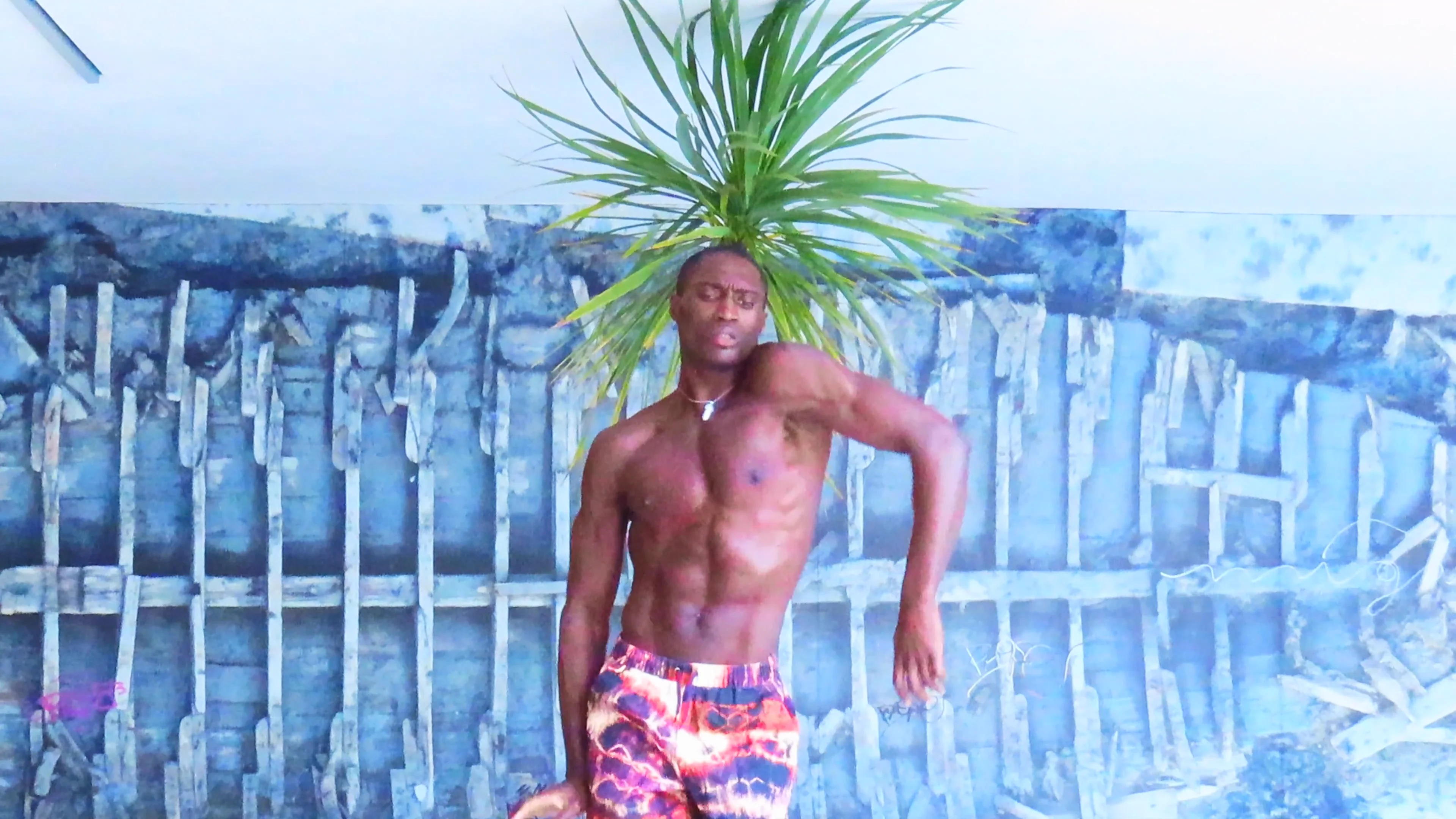 DANÇA BIONICA - CELIO UCHA DIAS AND DRACAENA  