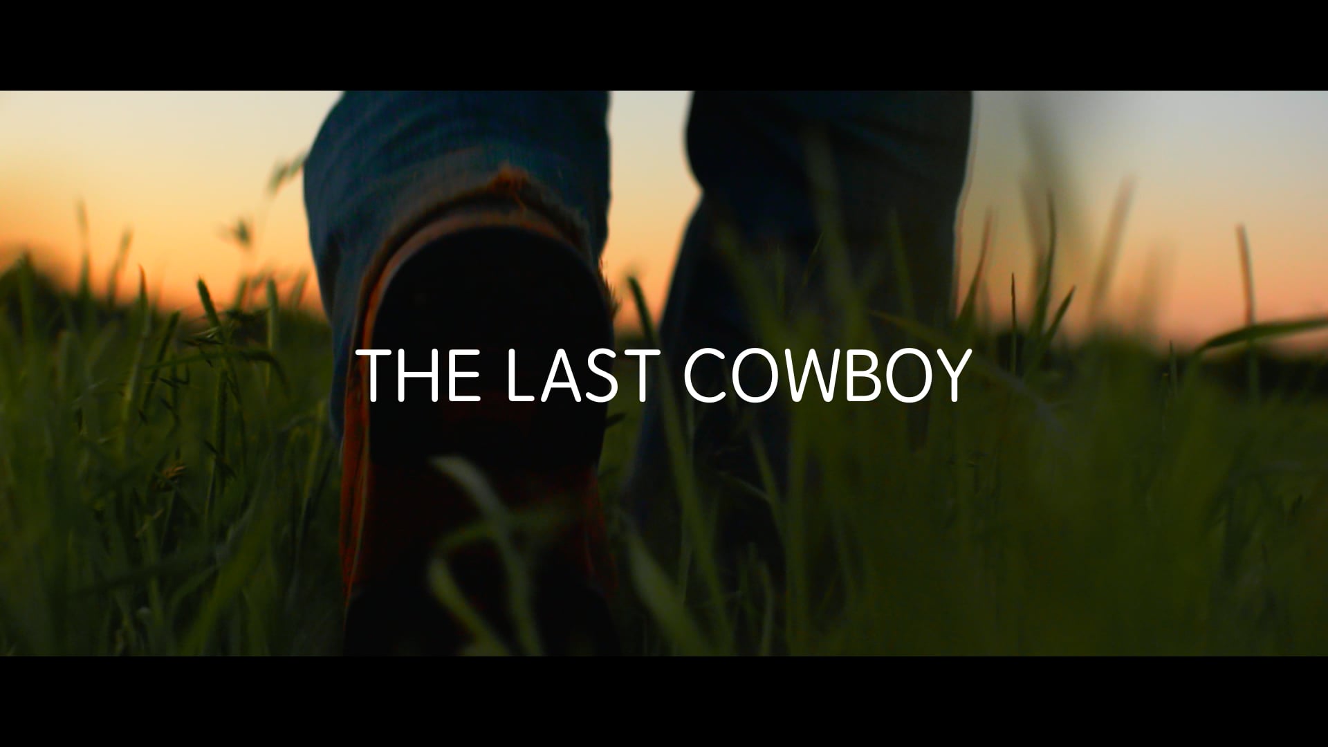 The Last Cowboy 01 Specialty Sizzle
