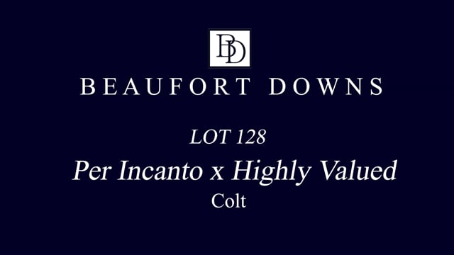 Lot 128