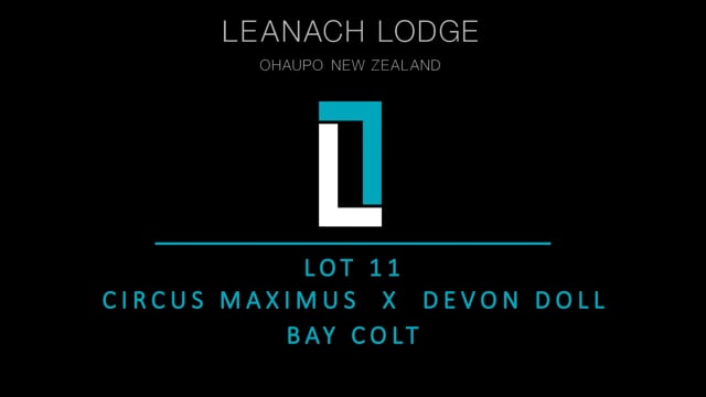 Lot 11