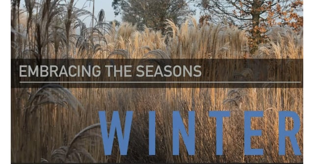 Ben Pope - Embracing the Seasons - Winter