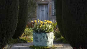 Troy Scott Smith Planting spring and summer containers