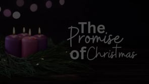 Promise of Light and Life