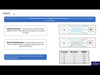 Multi Input Multi Output - MIMO for Private 5G