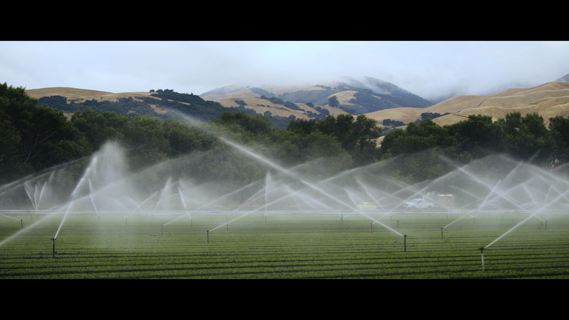 Gordon Food Service - Produce