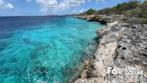 Bonaire Scuba Diving at Sand Dollar Bonaire Condo F6