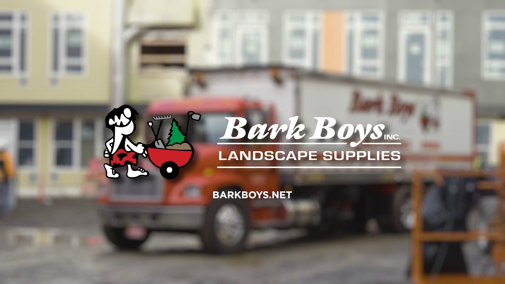 Bark Boys | Rooftop Project Highlight