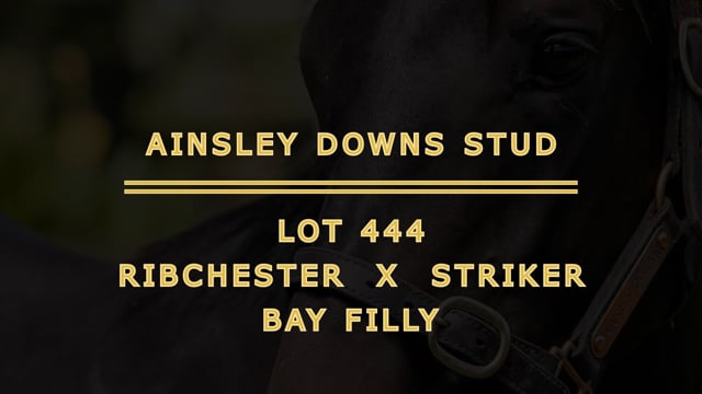 Lot 444