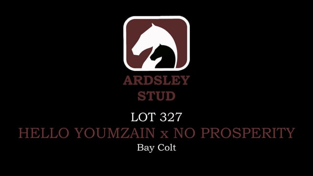 Lot 327