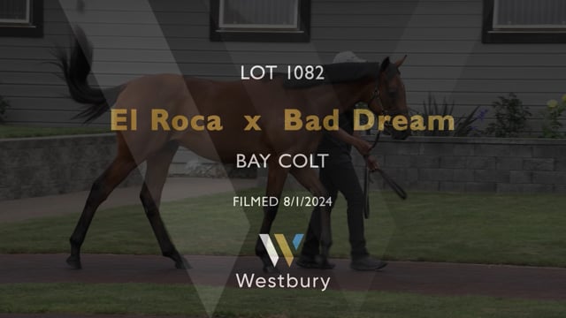 Lot 1082