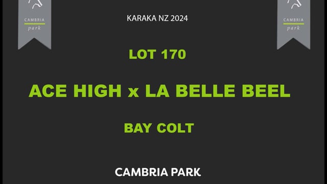 Lot 170