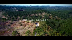 VOYAGE BIZZARE - BLKMARK STUDIO SHOWREEL 2022