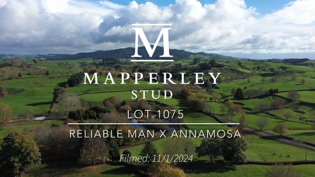 Lot 1075