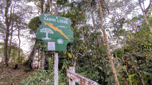 Avistamiento de aves en el Madidi