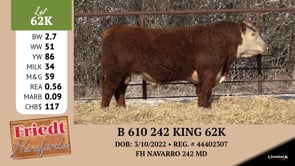 Lot #62K - B 610 242 KING 62K