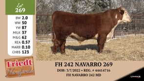 Lot #269 - FH 242 NAVARRO 269