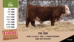Lot #300 - *** OUT *** FH 300
