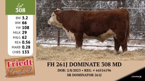 Lot #308 - FH 261J DOMINATE 308 MD