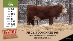 Lot #309 - FH 261J DOMINATE 309