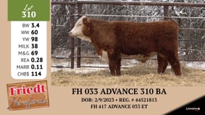 Lot #310 - FH 033 ADVANCE 310 BA