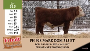 Lot #315 - FH 928 MARK DOM 315 ET