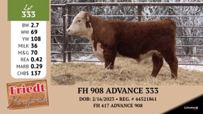 Lot #333 - FH 908 ADVANCE 333