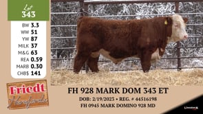 Lot #343 - FH 928 MARK DOM 343 ET
