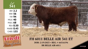 Lot #341 - FH 6011 BELLE AIR 341 ET
