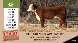 Lot #367 - FH 1610 MISS AVA 367 MD