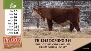 Lot #349 - *** OUT *** FH 1245 DOMINO 349